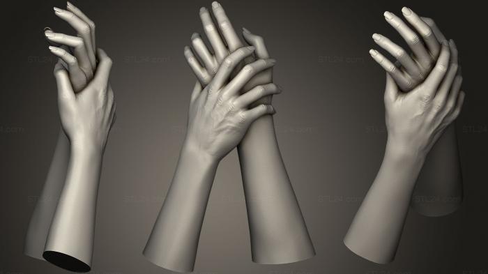Анатомия скелеты и черепа (Женские руки 1, ANTM_0472) 3D модель для ЧПУ станка